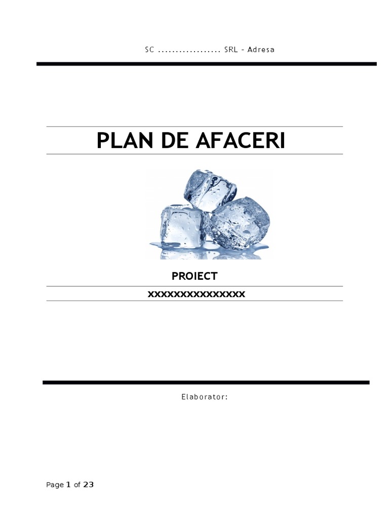 Model Plan de Afaceri Final POR 2.1. PDF