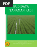 Download 10-Budidaya-padipdf by ZulhijahJuleBasalamah SN306485651 doc pdf