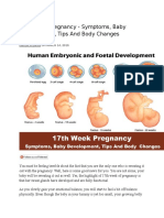 17th Week Pregnancy - Symptoms, Baby Development, Tips and Body Changes