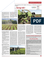 Article EA277 mars 2016_Strip-tease du strip-till!