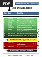 Step Level of Consciousness Assessment: Scale Label Description