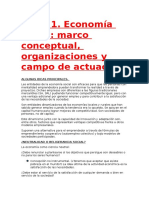 Economía social: marco conceptual y organizaciones