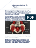 Anatomia da musculatura do Assoalho.doc