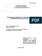 PROPAGAÇÃO VEGETATIVA E ESTABELECIMENTO EM CERRADO DE Banisteriopsis caapi 