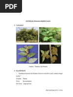 Download daun jati belanda sebagai antihiperlipidemia by NurFauziyahDahlan SN306514129 doc pdf