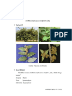 Download daun jati belanda sebagai antihiperlipidemia by NurFauziyahDahlan SN306514129 doc pdf
