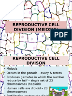 Reproductive Cell Division (Meiosis)