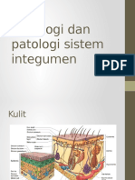 Histologi Dan Patologi Sistem Integumen