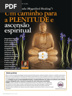 ZEN 011 Magnified Healing