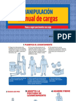 CAPACITACION MANUAL DE CARGA - PPSX