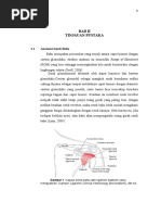 Download tinjauan pustaka frozen shoulder by Tia Okidita SN306540565 doc pdf