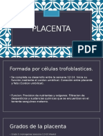 placenta