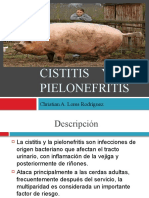 Cistitis    y Pielonefritis