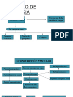 Acontecimientos de La Hemostasia