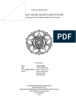 Laporan Praktikum Fisika Komputasi Mencari Akar Fungsi