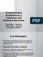 Meninges - Ventrículos - Barrera Hematoencefálica