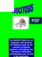 Fagocitosis 