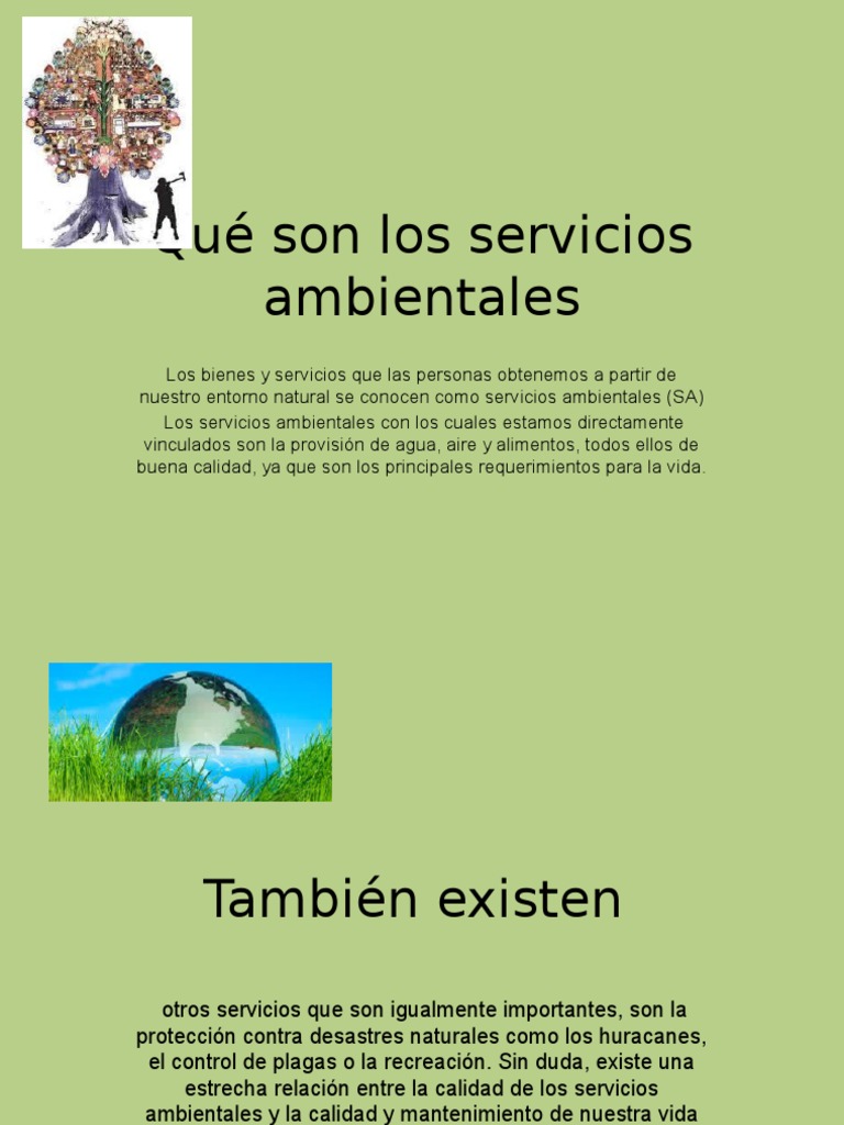 Qué Son Los Servicios Ambientales