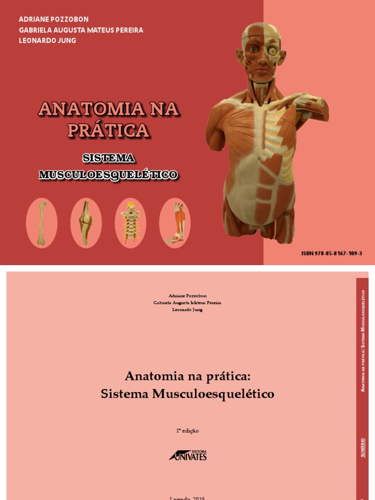 Anatomia Na Prática Pdf Pdf Coluna Vertebral Anatomia