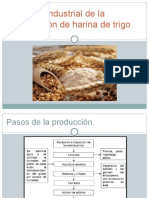 Circuito Productivo de Harina