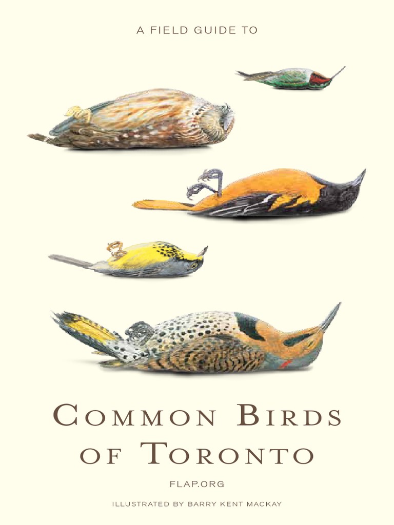 A Field Guide To Common Birds of Toronto (F.L.a.P., 2009) PDF