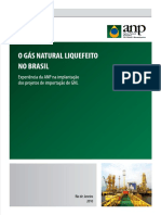 Gas Natural Liquefeito No Brasil