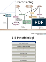 1.5 Patofisiologi Karsinoma Hepatoseluler