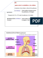 Respirator i o; Apuntes de