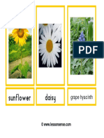 Flash Card Flowers Pictures