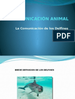 La Comunicacion de Los Delfines