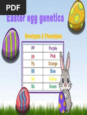 easter egg genetics slide