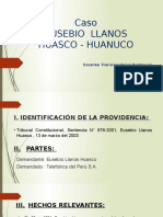 Tema 5. Caso Llanos Huasco Eusebio Exponer (1)