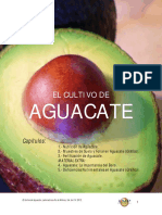 El Cultivo de Aguacate