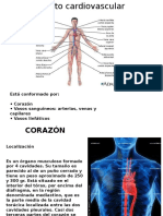 Aparato Cardiovascular