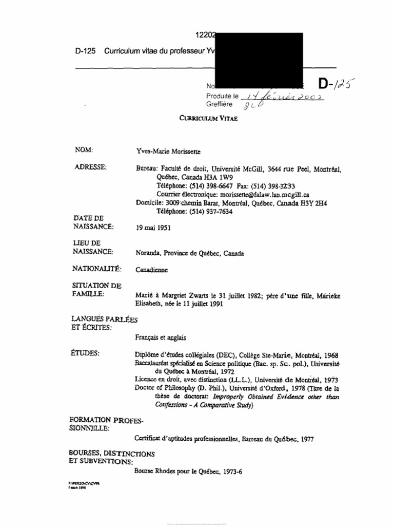 Curriculum vitae samples picture