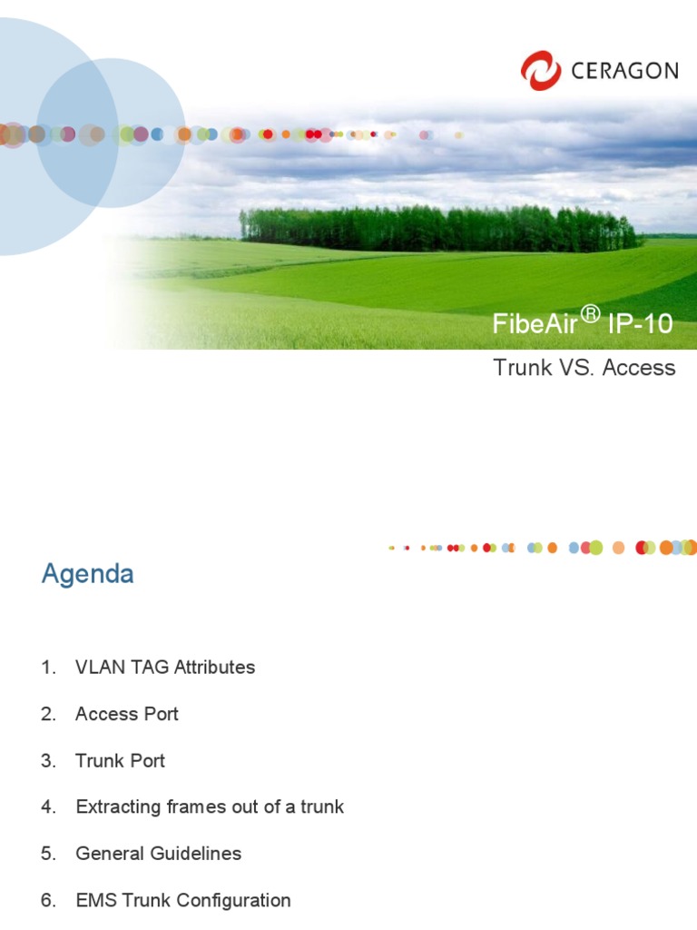 131 Ceragon Trunk Vs Access Presentation v1.3 PDF Computer