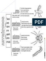 Animales Invertebrados Clasificación Artrópodos PDF