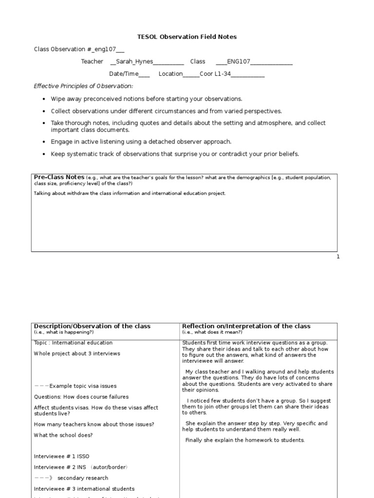 Observation essay field notes picture