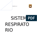 Sistema Respiratorio