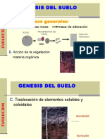 Formacion de Suelos - Factores