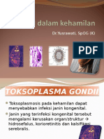 TOKSOPLASMOSIS