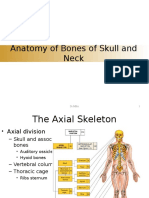 Bone of Head and Neck-Dr MBA Block 6 Ok