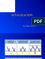 Semana 5 Señalizacion