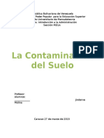 Contaminacion Del Suelo