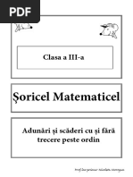 Adunari Si Scadeti Matematicel