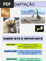 adaptacao