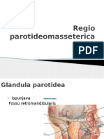 Regio Parotideomasseterica