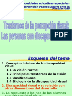 Discapacidad Visual