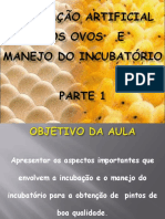 aula_13_incubacao_parte_1.pdf