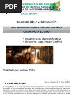 Cavas Para El Vino_(Johnny Delva)